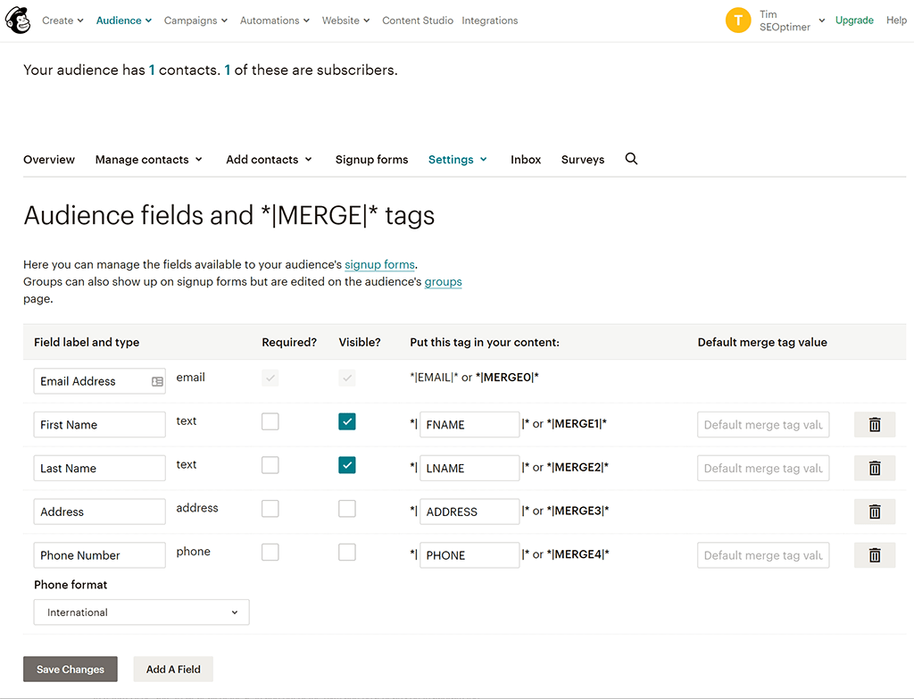 Mailchimp merge fields